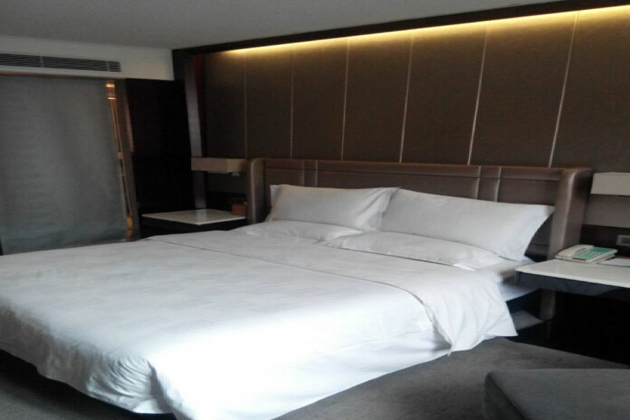 לאסה Tibet Minshan Hotel מראה חיצוני תמונה